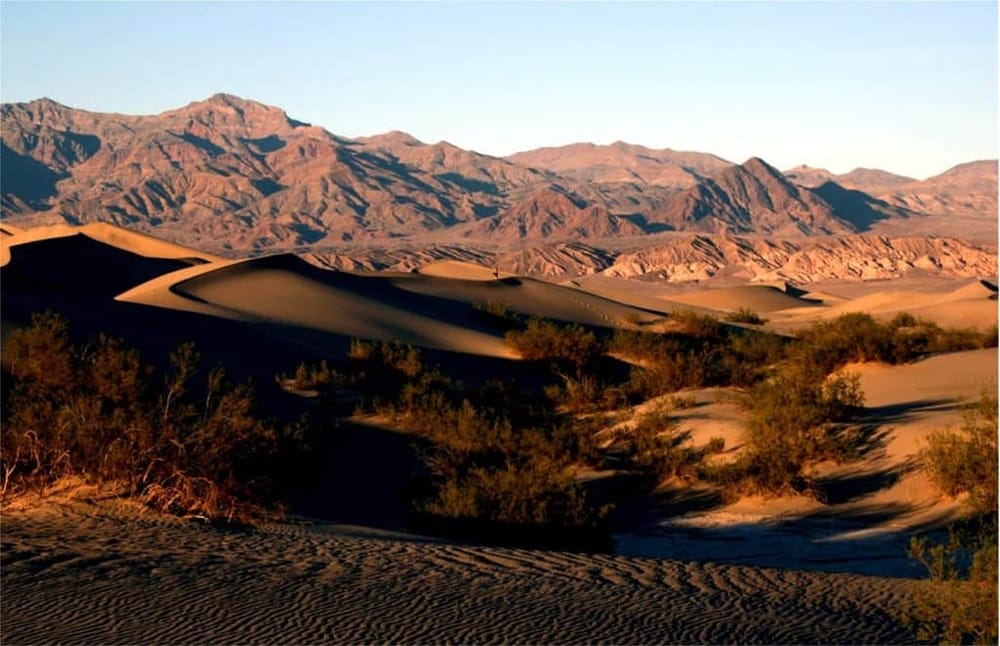 Golden desert landscape with sand dunes and mountain backdrop at sunset or sunrise, part of Quest for Directions.