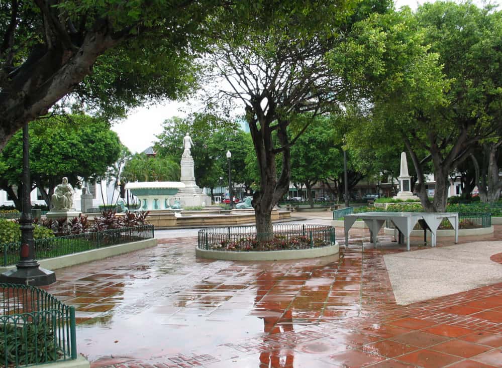 Quiet city park with fountains and lush trees after rain, perfect for relaxation and outdoor activities.