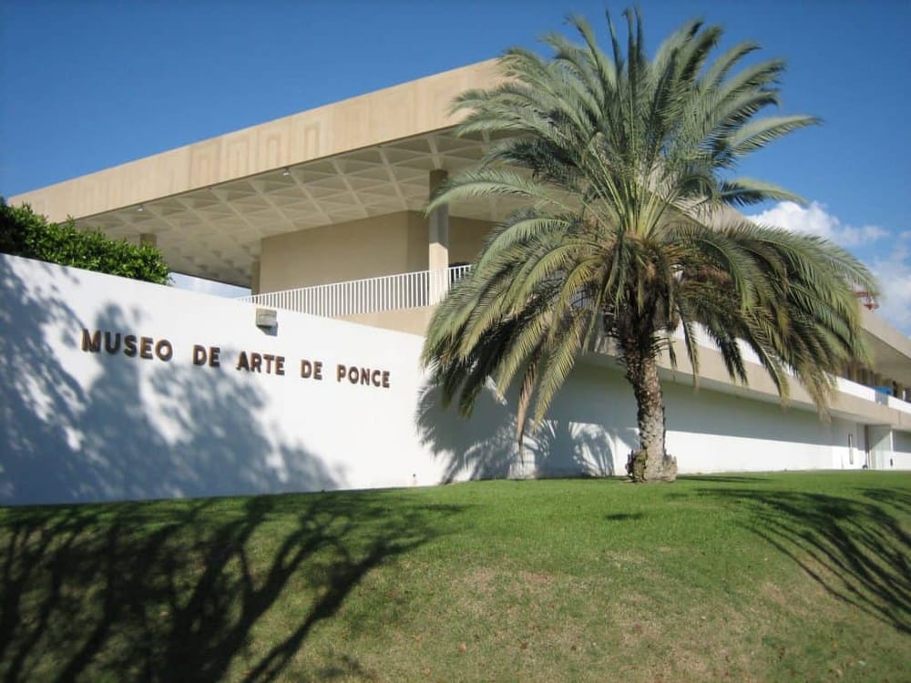 Modern art museum building with palm tree in sunny outdoor setting, showcasing Ponce Museum of Art.