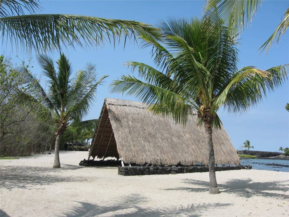 Tropical beach scene with palm trees and a traditional thatched hut by the water, perfect for exploring beach destinations.