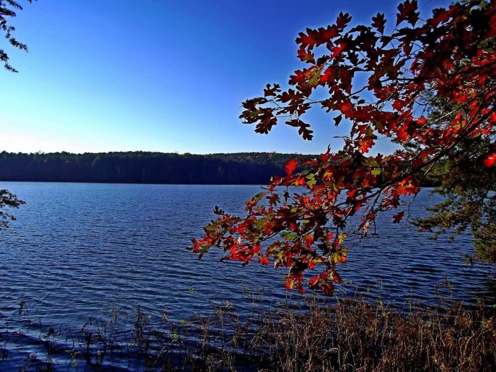 Serene lake surrounded by autumn foliage, perfect for outdoor activities and nature exploration.