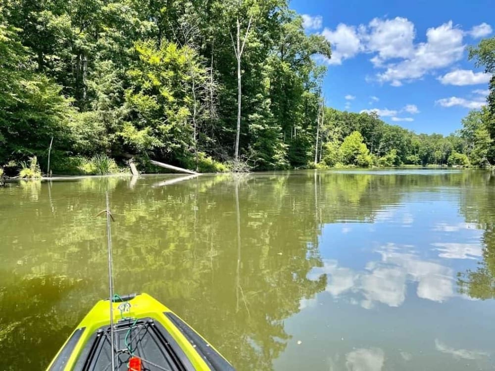 Tranquil river scene with kayak, lush green trees, and blue sky, perfect for outdoor exploration.