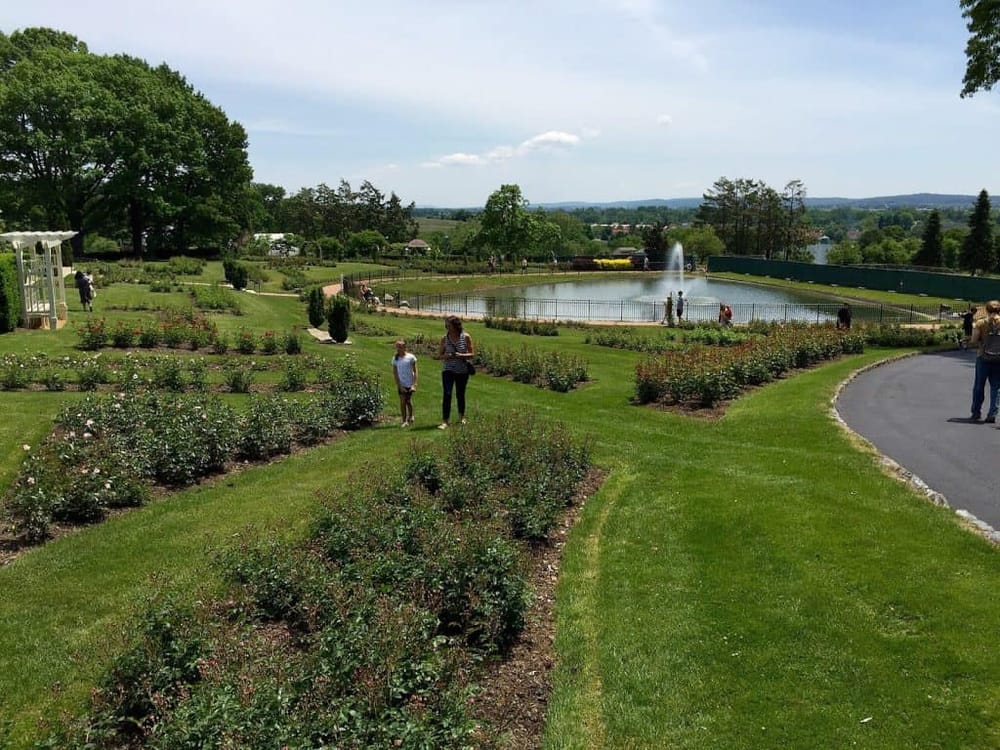 Rose garden with fountain, scenic park, visitors enjoying nature, and walking paths in the background.
