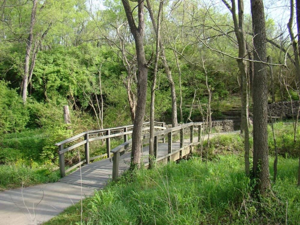 Wooden nature trail bridge in lush green forest with trees and plants, scenic outdoor hiking path.