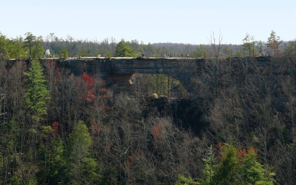 Overlooked natural stone arch bridge in Ozark National Forest, Tennessee.