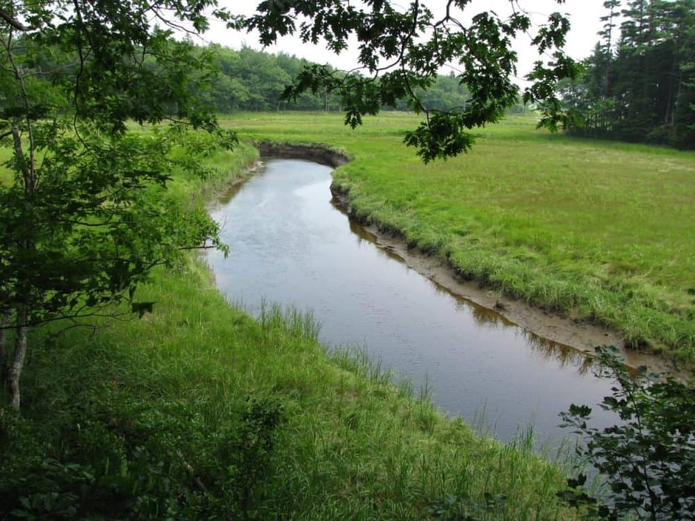 Serene creek flowing through lush green fields, surrounded by vibrant trees and nature in the countryside.