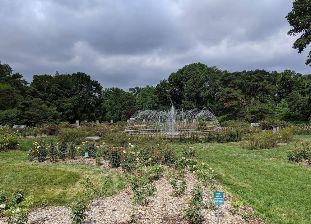 Fountain in Rose Garden at Quest For Directions Park, lush greenery, cloudy sky, peaceful outdoor setting.