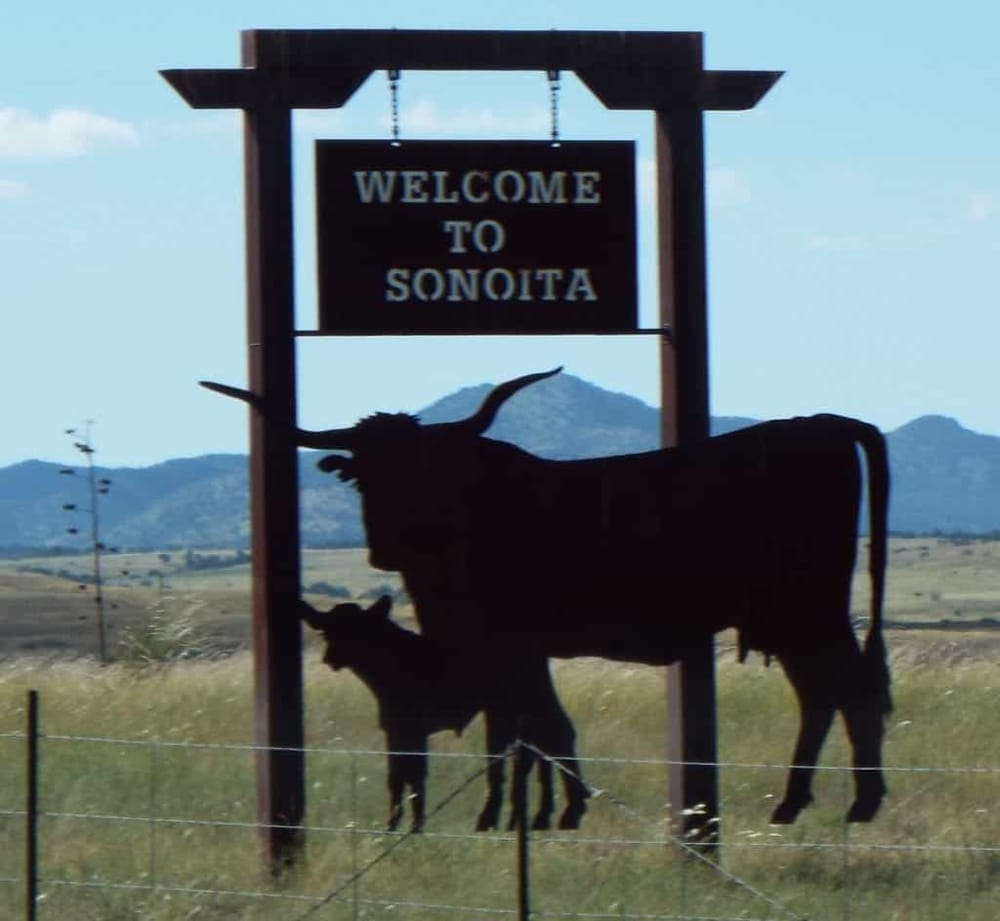 Silhouette of a cow and calf near a welcome sign in Sonora, desert landscape, mountains in background, rural Texas scenery.