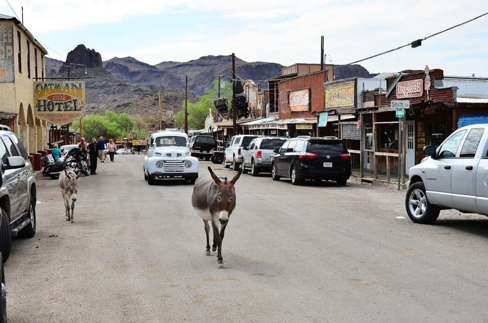 Donkey in historic Route 66 town bustling with cars and vintage buildings, scenic mountains in the background.