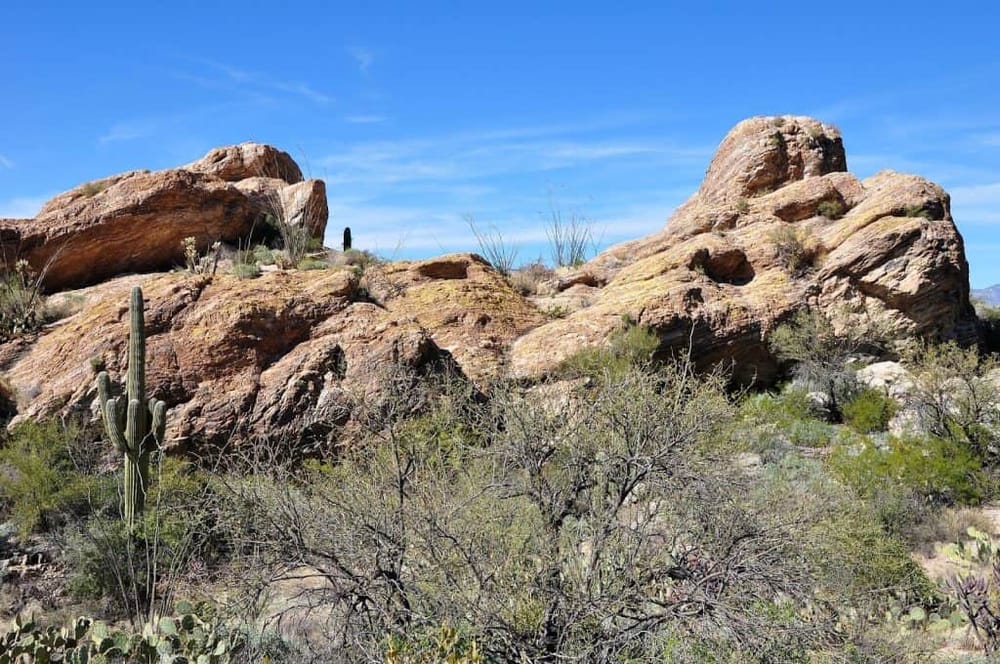 Arid desert landscape with large rocks and cacti under a blue sky, ideal for Adventure travel and outdoor exploration.