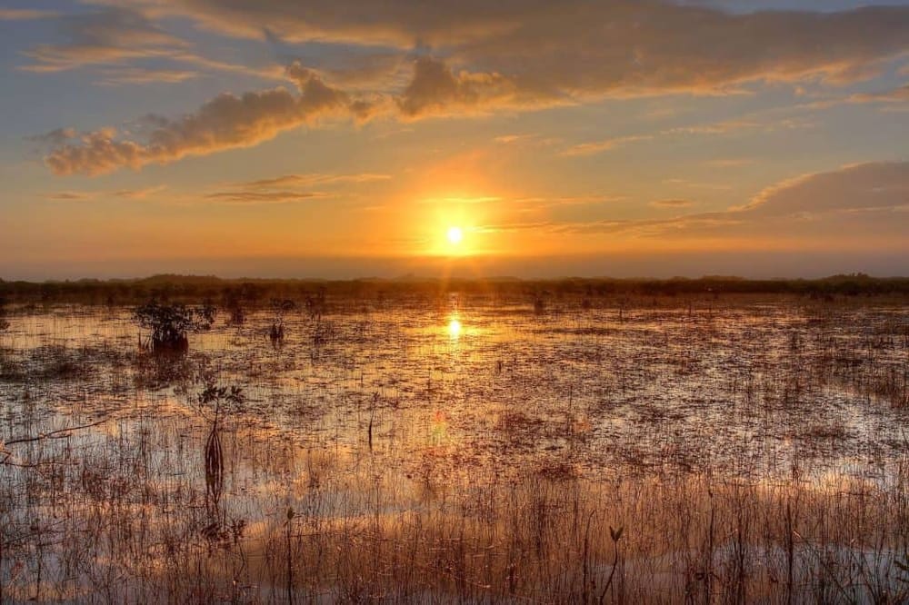 Beautiful sunset over a wetland, showcasing serene water reflections and tranquil natural scenery.