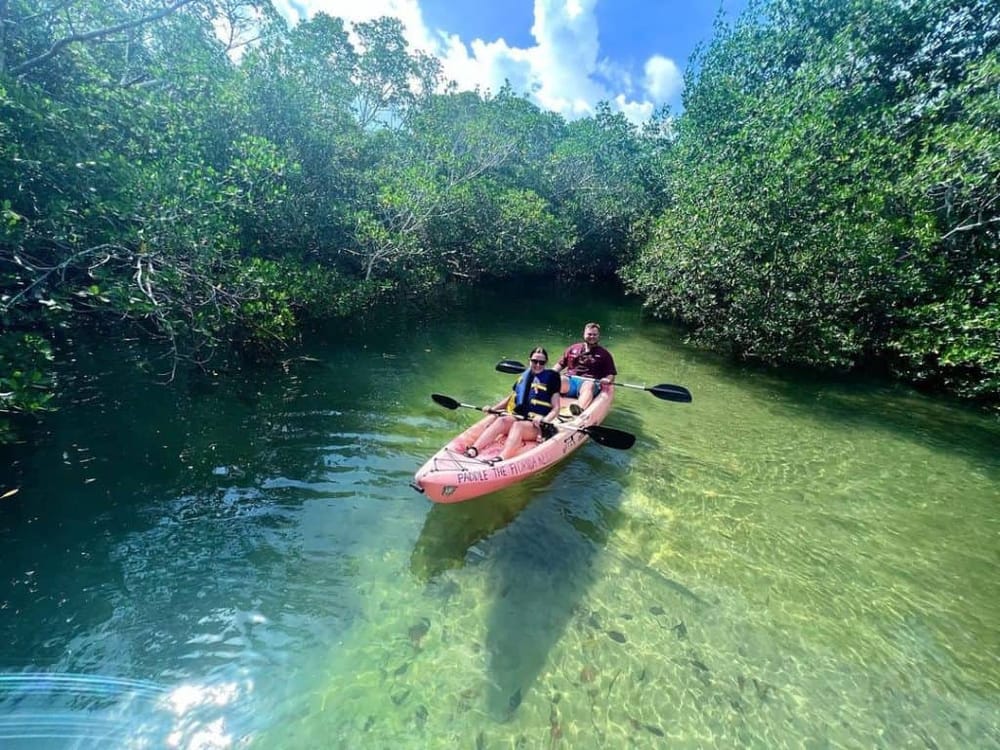 Kayaking through lush mangroves in Florida Keys, scenic adventure with crystal-clear waters.