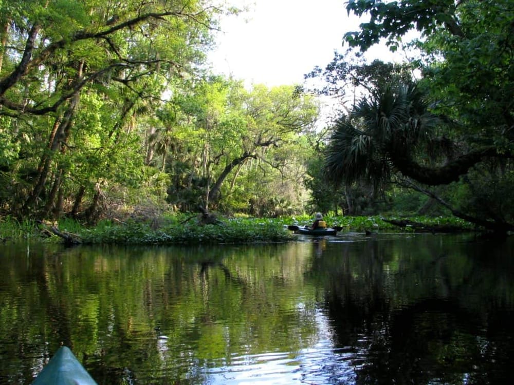 Serene kayaking through lush, green waterways in a scenic natural park. Perfect for outdoor adventure and nature exploration.