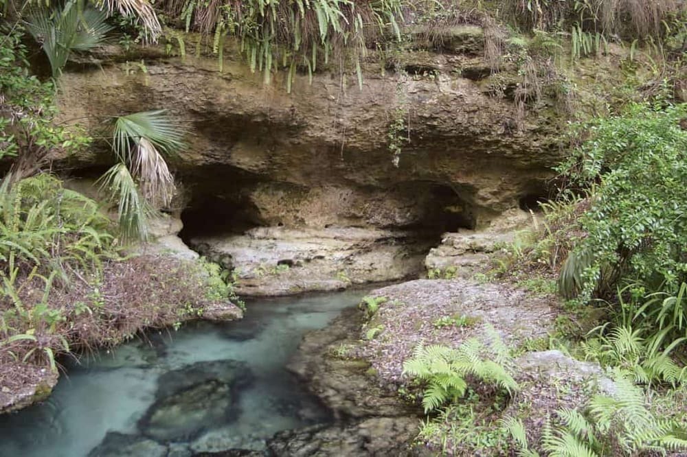 Hidden cave entrance near lush river in nature, outdoor adventure destination.