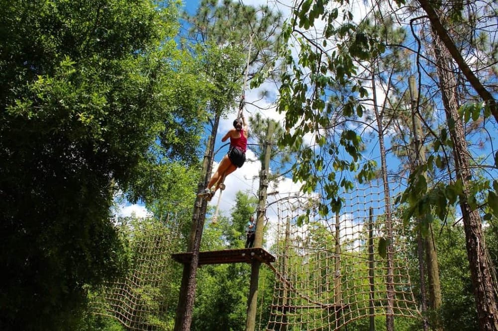 High ropes course adventure in a lush forest setting for outdoor team building activities and fun.