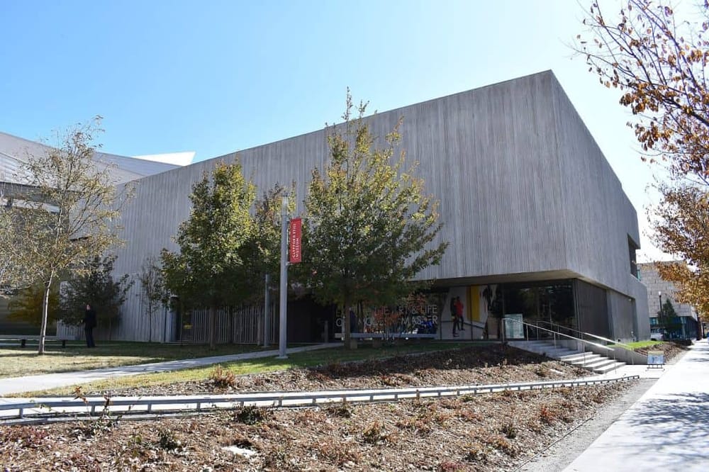 Modern art museum building with trees and clear sky, showcasing contemporary architecture and cultural exhibits.