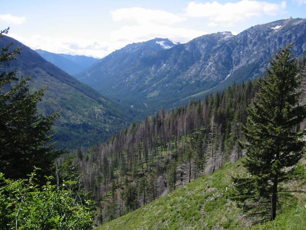 Breathtaking mountain valley with lush greenery, pine trees, and snow-capped peaks under a blue sky.