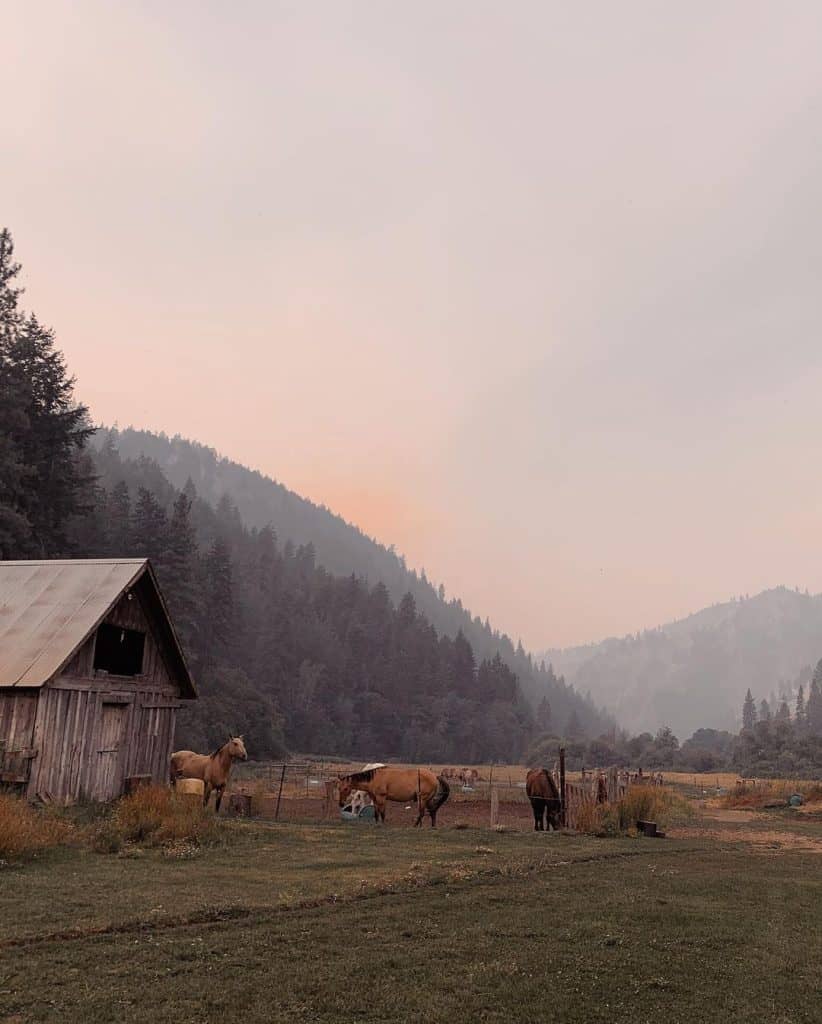 Tranquil mountain farm scene with horses, rustic barn, and forested mountains at sunset.