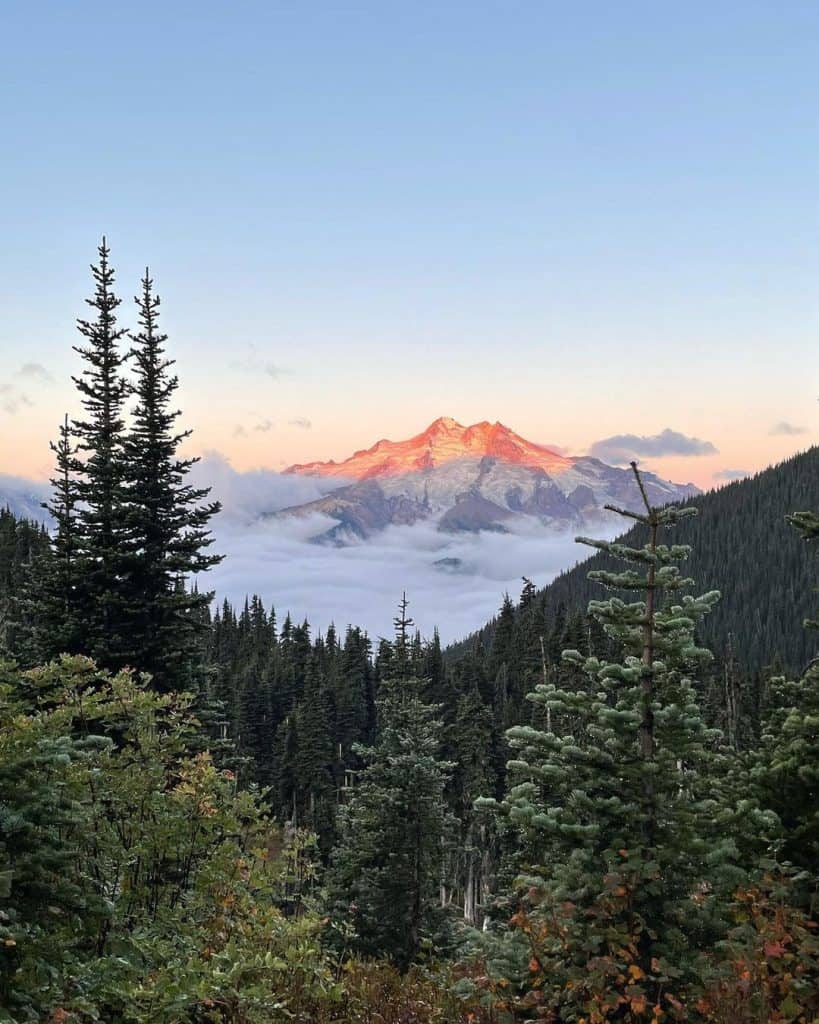 Vast alpine forest with Mount Rainier backdrop at sunrise, depicting outdoor adventure and nature exploration.