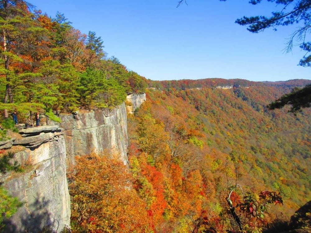 Vast autumn landscape with colorful foliage and a scenic cliffside viewpoint in a national park.