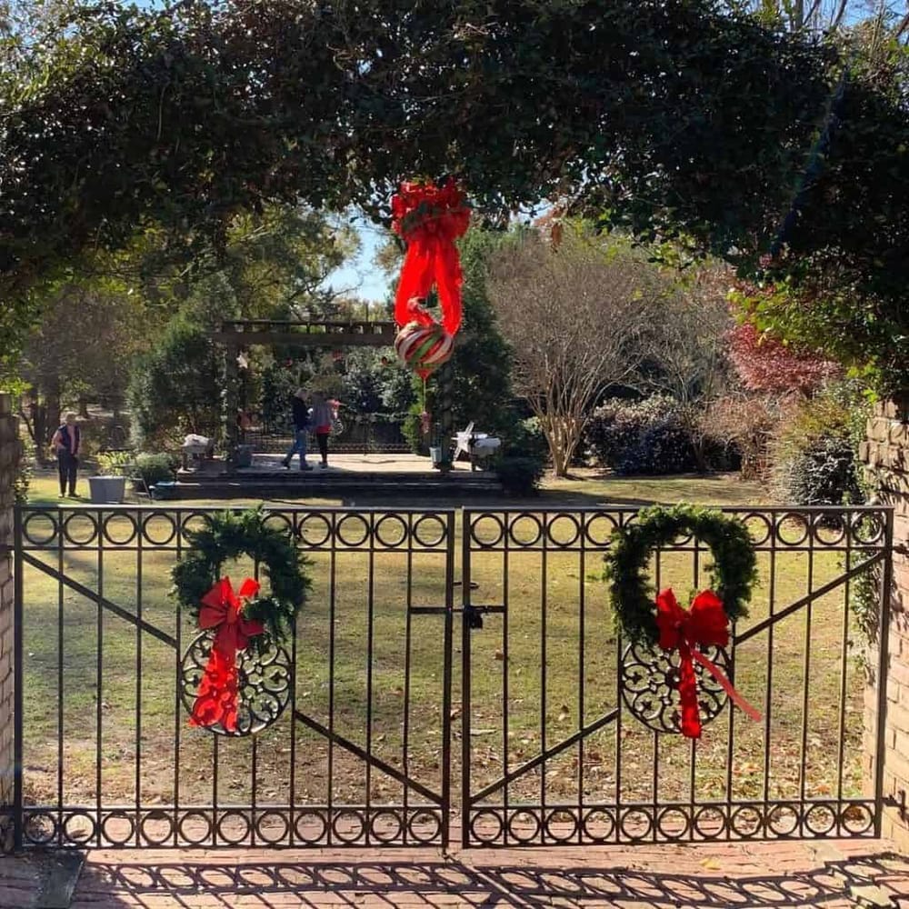 Festive holiday decorations on a wrought iron garden gate with Christmas wreaths and ribbons.