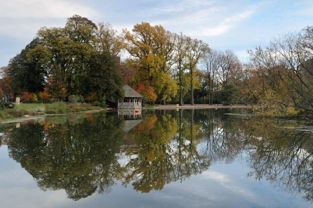 Serene park pond with colorful autumn trees and gazebo reflection, ideal for outdoor relaxation and nature exploration.