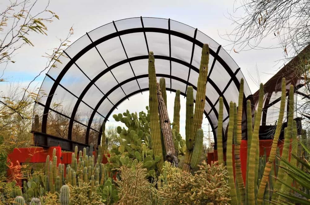 Colorful desert garden with cacti and a greenhouse arch structure at QuestForDirections.