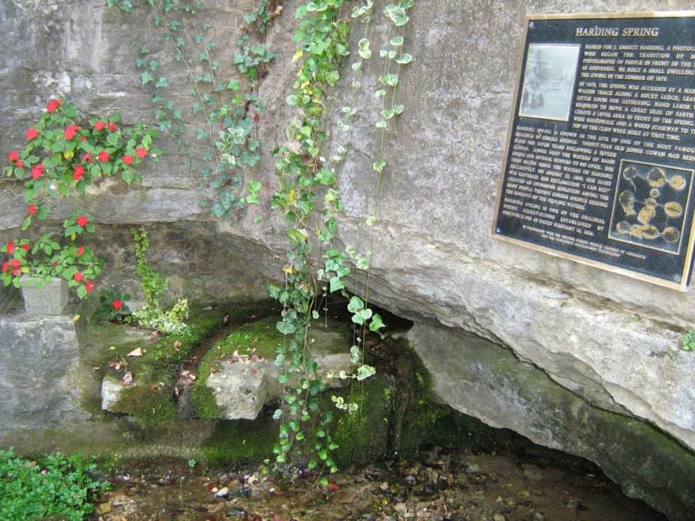 Ancient spring water feature at historic Hardy Spring, surrounded by greenery and ivy, with informational plaque.