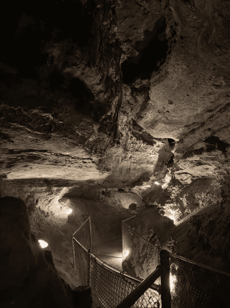 Dark cave tunnel with illuminated pathway and safety railings, exploring underground adventures.