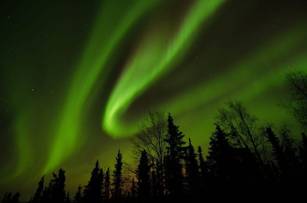 Northern lights dancing over forest landscape at night with vibrant green colors.