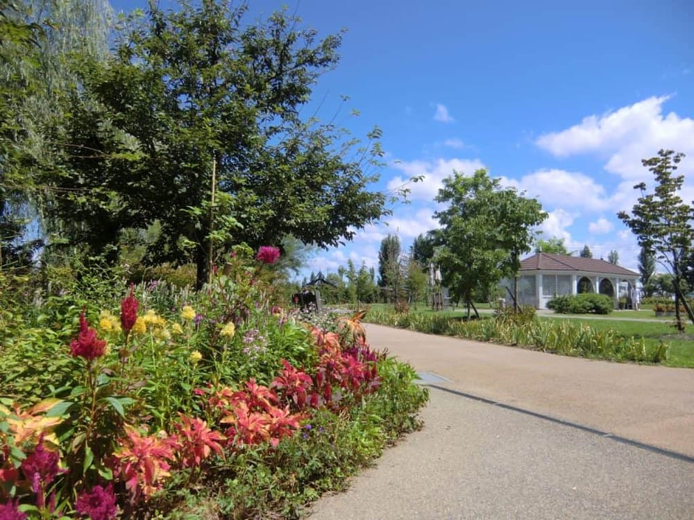 Colorful garden with blooming flowers and lush trees on a sunny day, perfect for outdoor relaxation and scenic walks.