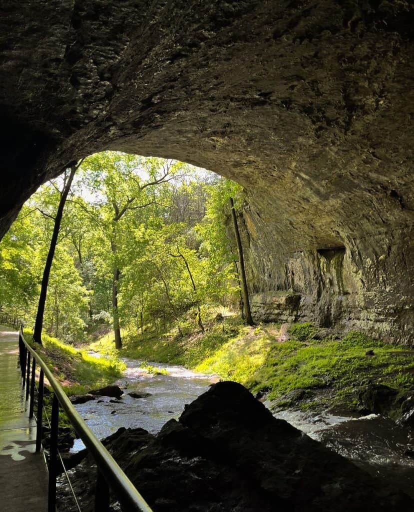 Lush green forest view from inside a large rock cave with a stream running below.