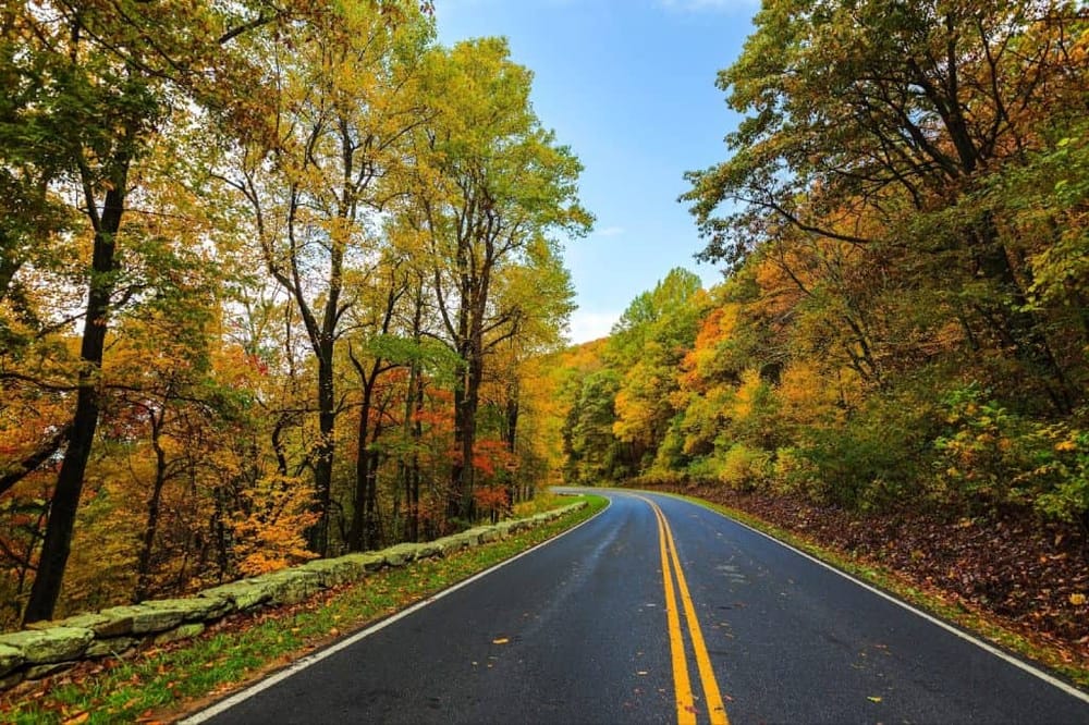 Winding autumn road through colorful fall foliage in a scenic forest landscape.