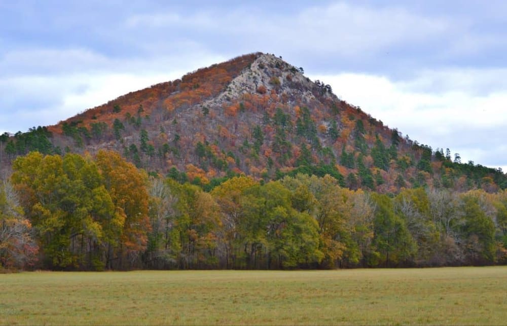 Vibrant fall foliage around a mountain with colorful trees and an open grassy field in autumn.