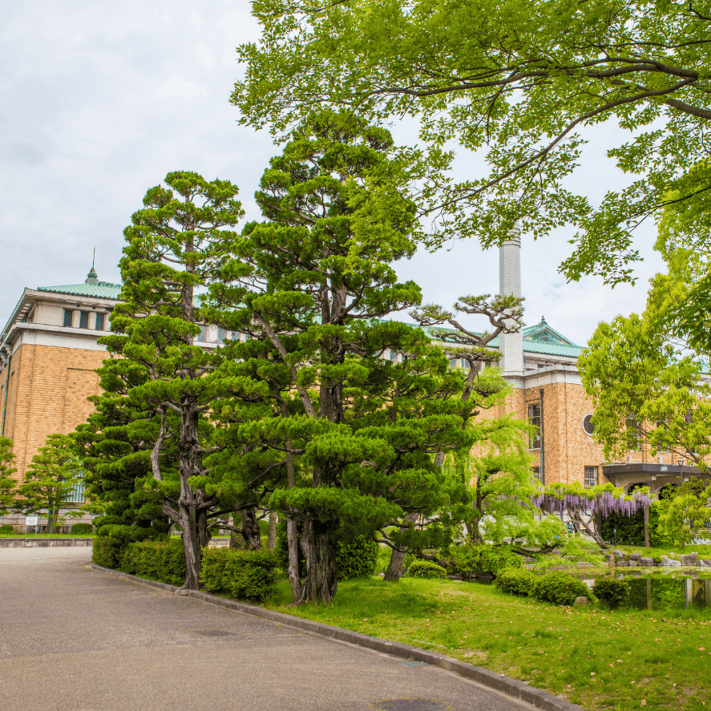 Admire the Cummer Museum of Art and Gardens