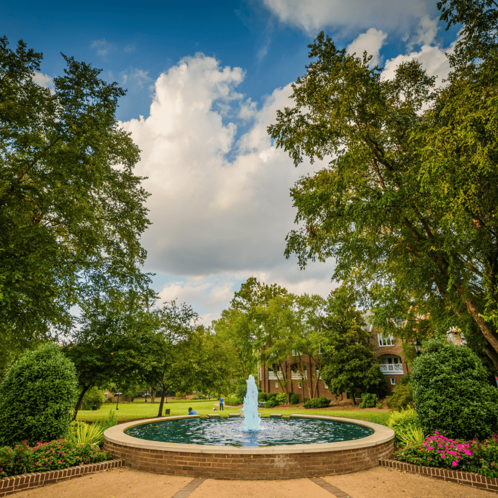 Admire the Fourth Ward