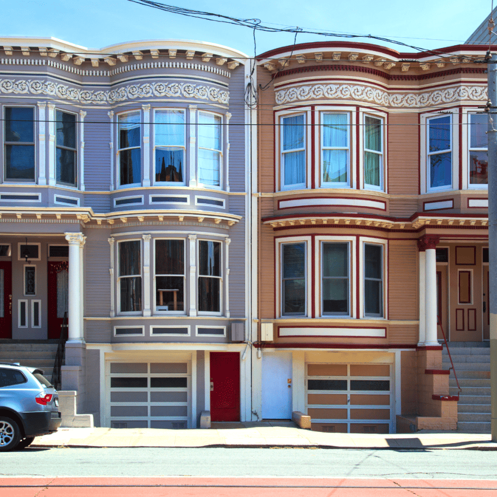 Admire the Painted Ladies
