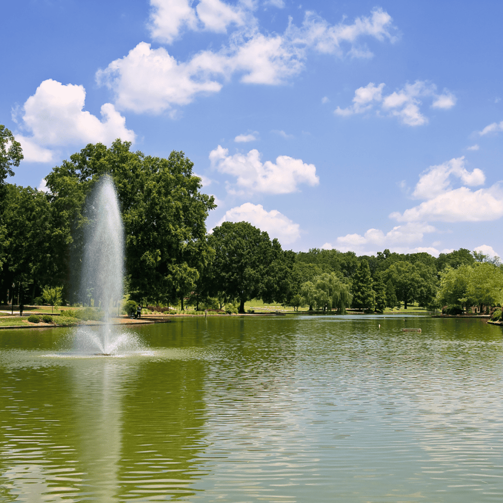 Bask in the Greenery of Freedom Park