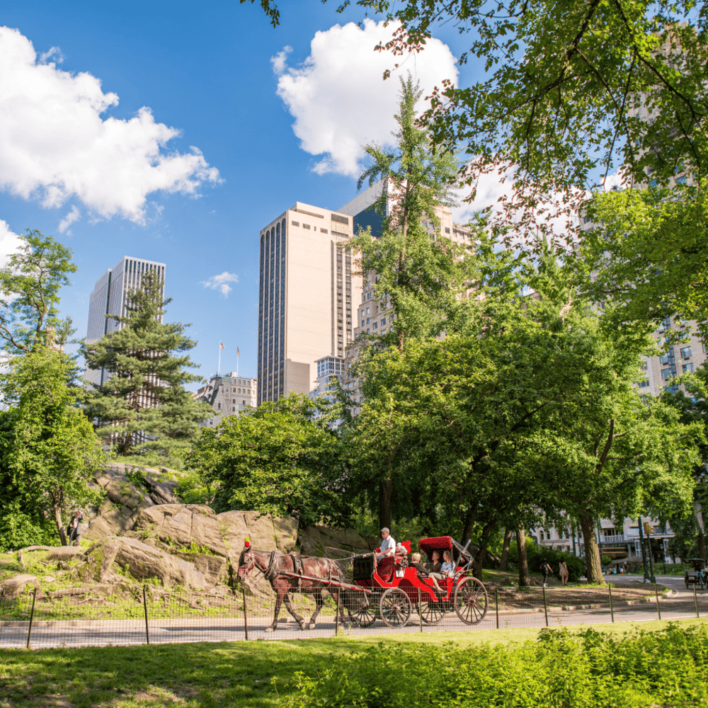 Carriage Ride in Central Park (VIP - PRIVATE)