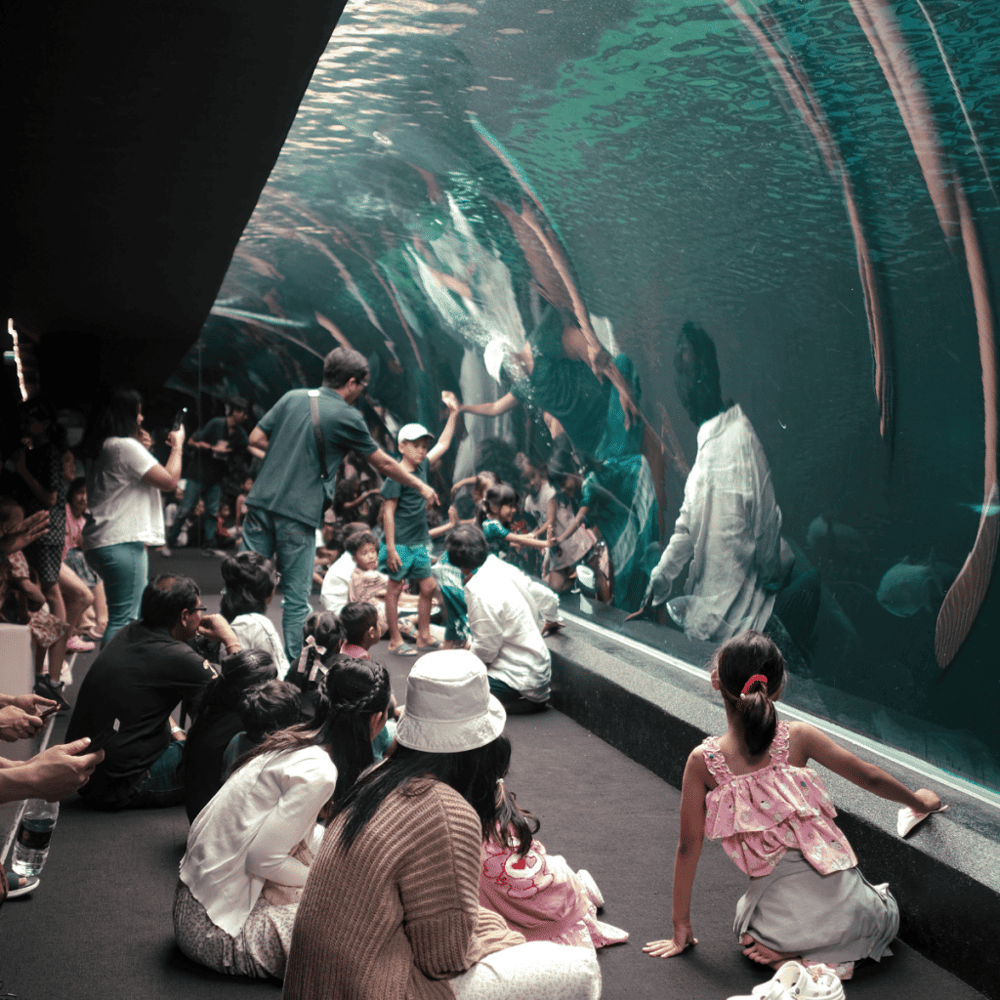 Dive into SEA LIFE Charlotte-Concord Aquarium