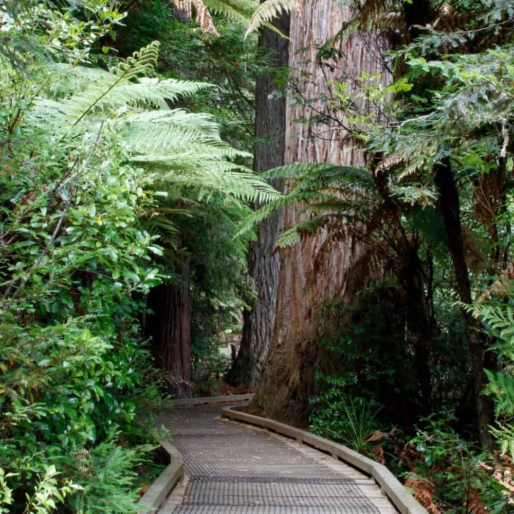 Experience the Castaway Island Preserve