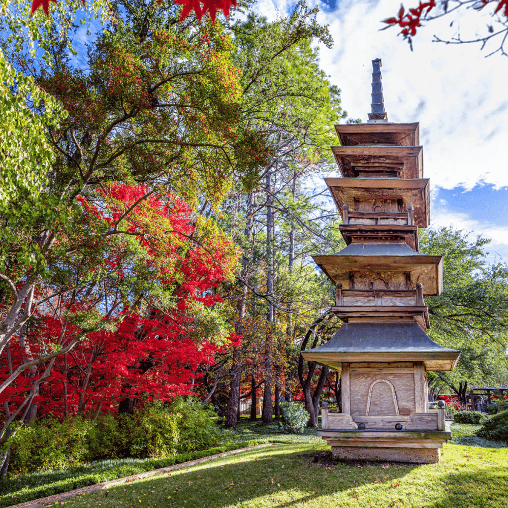 Experience the charm of the Japanese Garden