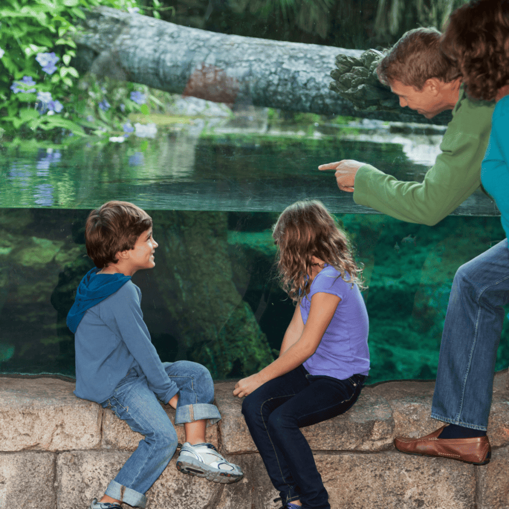Experience the Columbus Zoo and Aquarium
