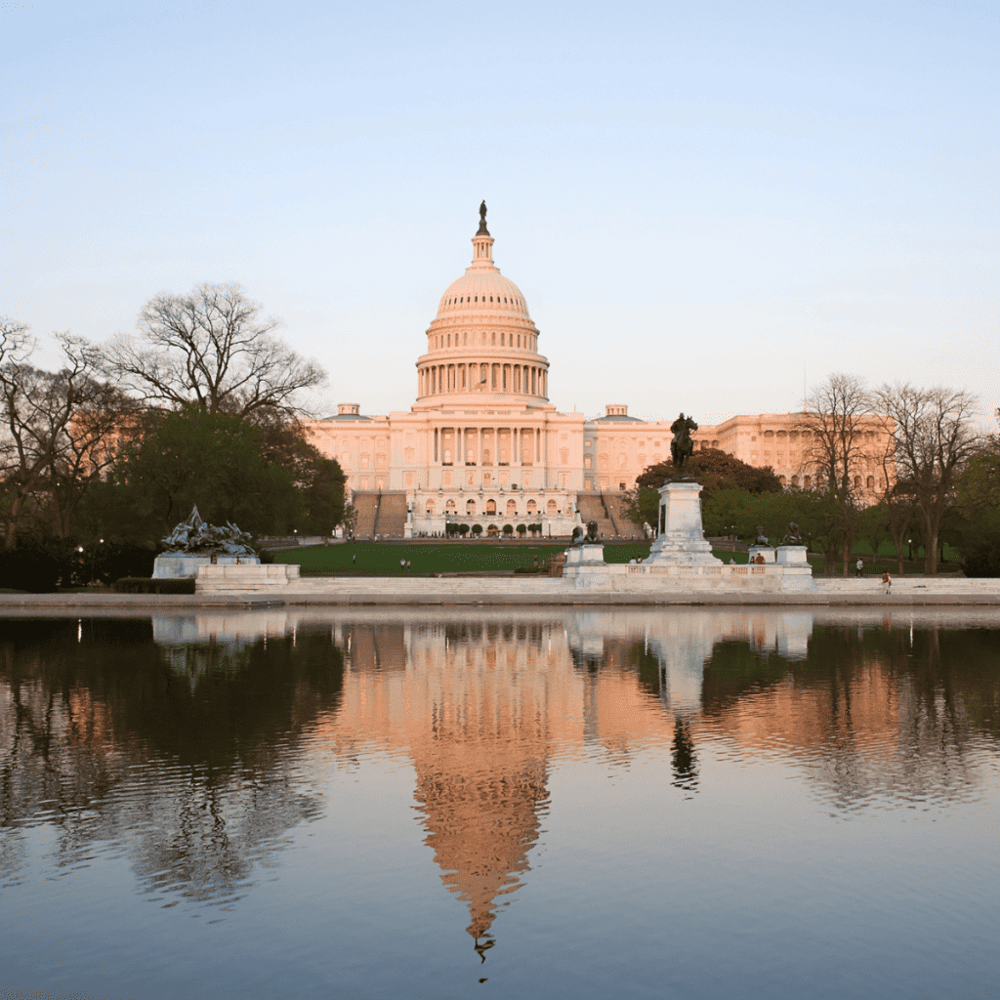 Experience the Vibrancy of Capitol Hill