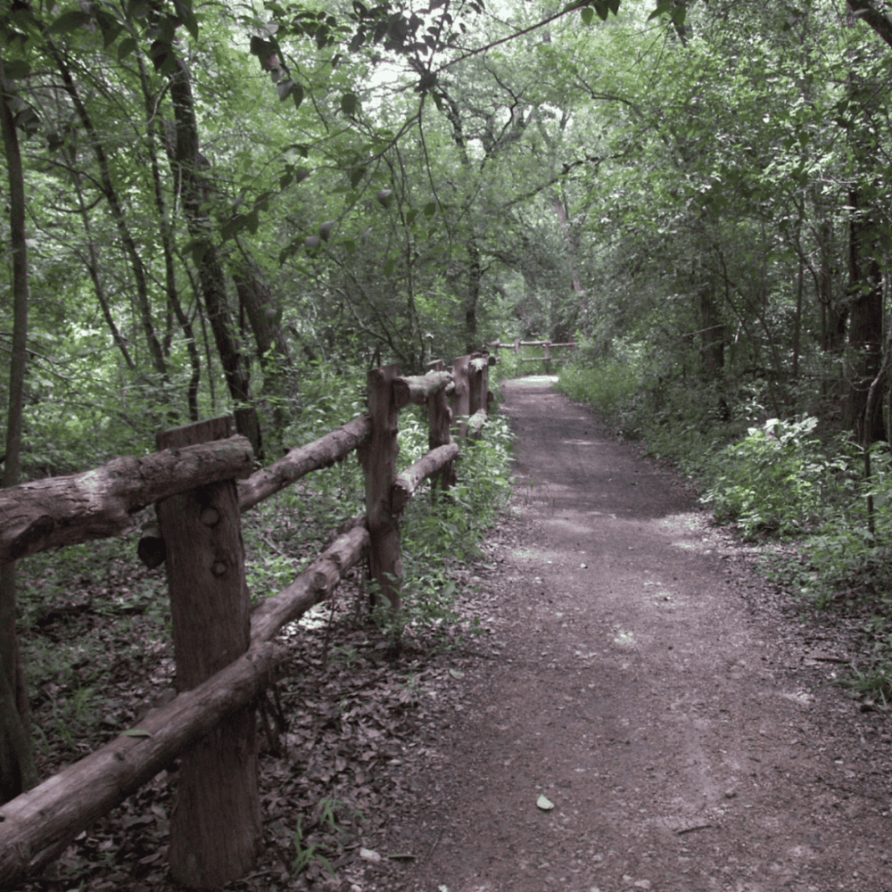 Explore the Barton Creek Greenbelt