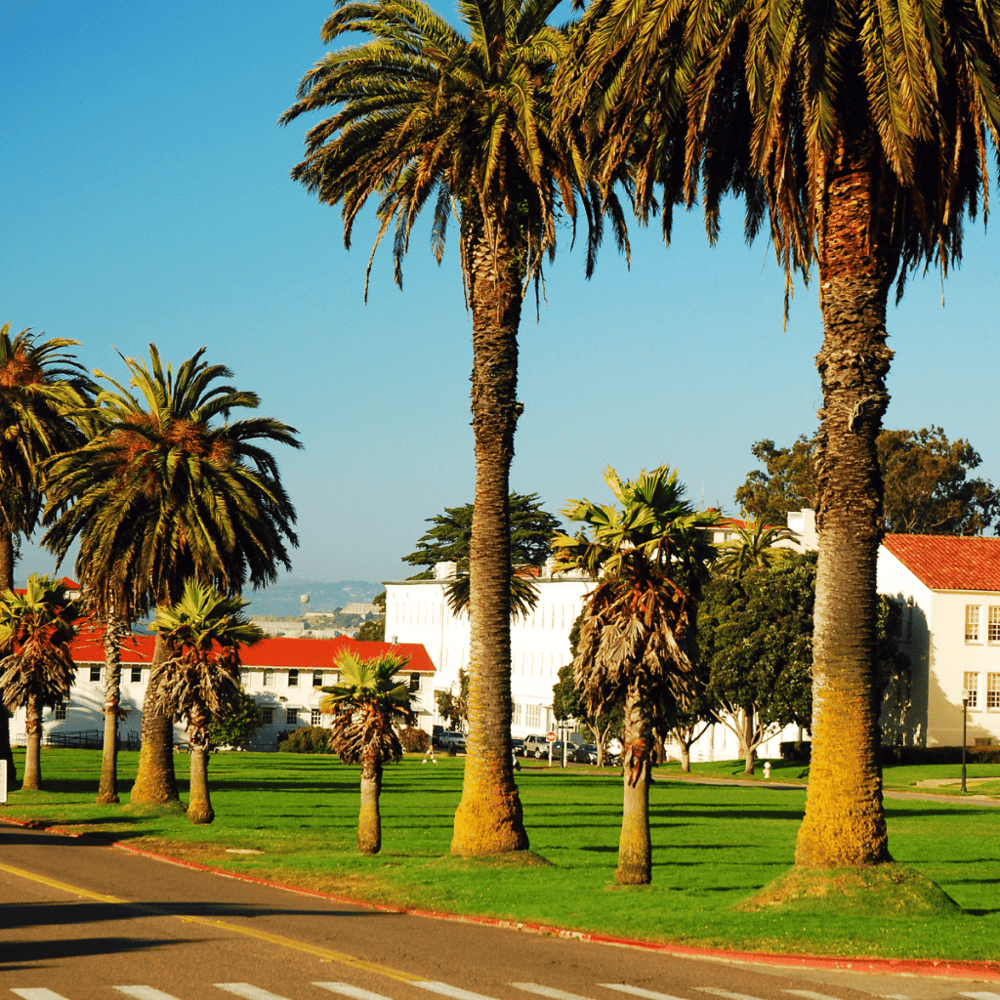 Explore the Presidio