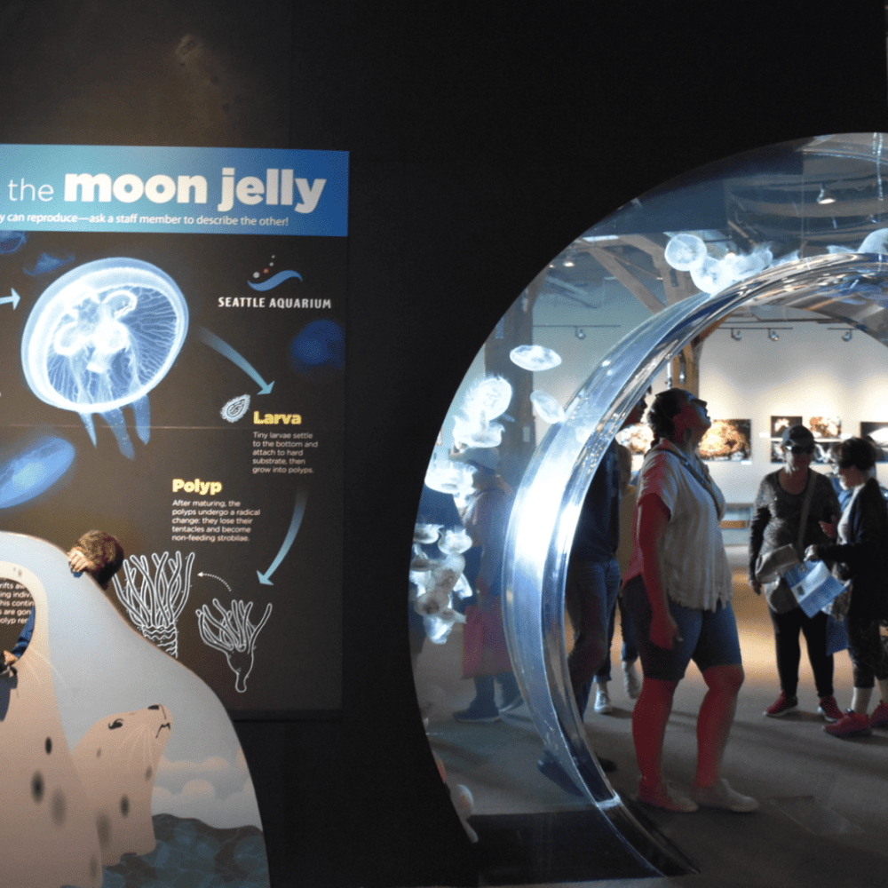 Explore the Seattle Aquarium