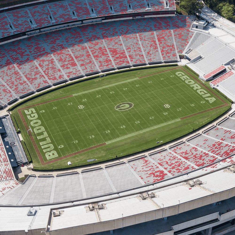 Feel the energy at Austin FC Game
