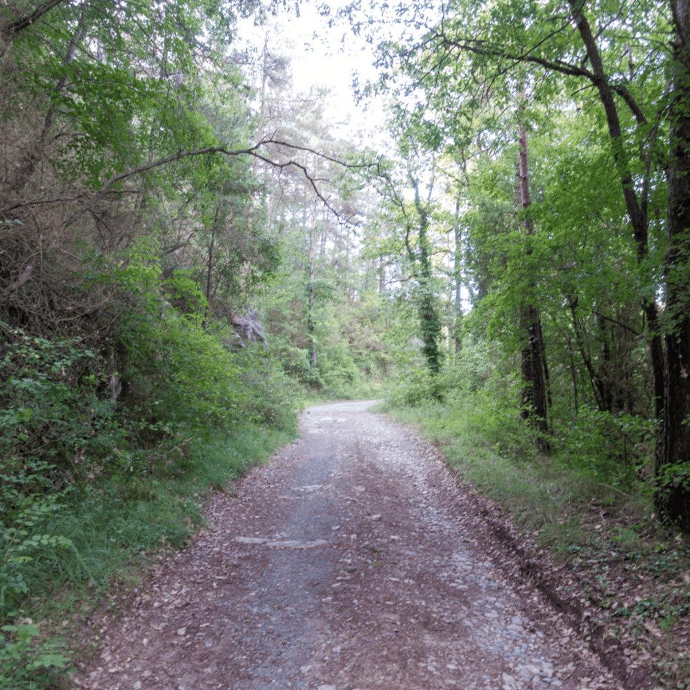 Follow the Jacksonville-Baldwin Rail Trail