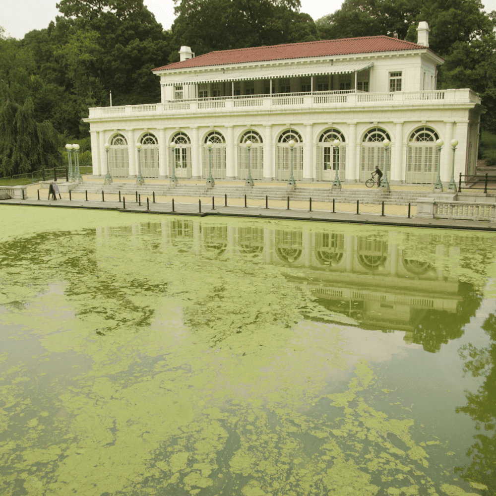 Go Birdwatching at Grange Insurance Audubon Center